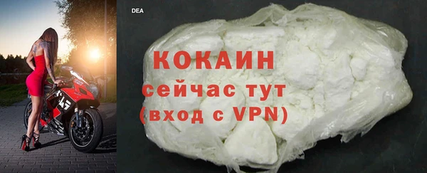 мдпв Карпинск